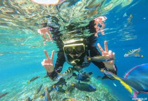 Snorkeling Pulau Menjangan