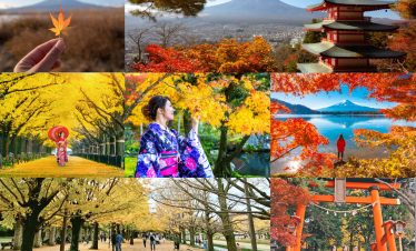 Japan 7D6N: Tokyo, Kyoto, Osaka ALL-IN Tiket PP Jakarta