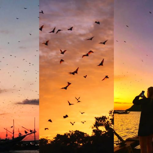 Trip Sunset Labuan Bajo